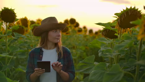A-female-student-walks-across-the-field-with-big-yellow-sunflowers-and-examines-them.-She-writes-their-characteristics-to-ipad.